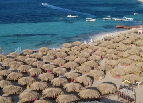 Plongée en apnée sur l'île paradisiaque