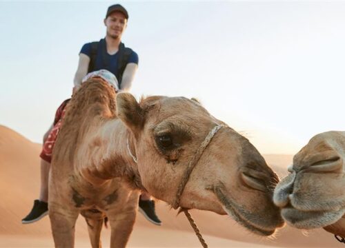 Safari dans le désert d'Hurghada en quad, en buggy et en jeep, et dîner barbecue