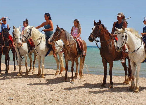 Excursion à cheval dans la mer Rouge et le désert avec baignade 1 ou 2 heures